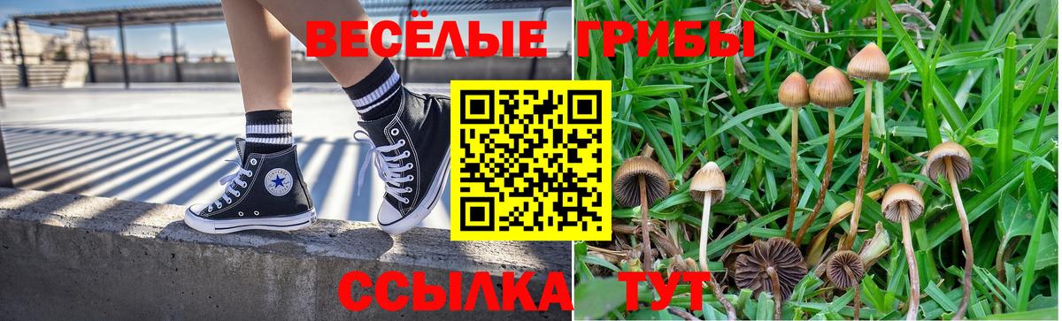 Галлюциногенные грибы прущие грибы Будённовск