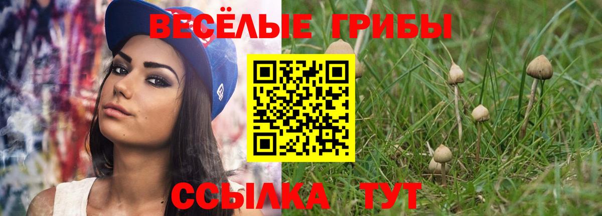 Галлюциногенные грибы Cubensis  Галлюциногенные грибы ЛСД  Будённовск 