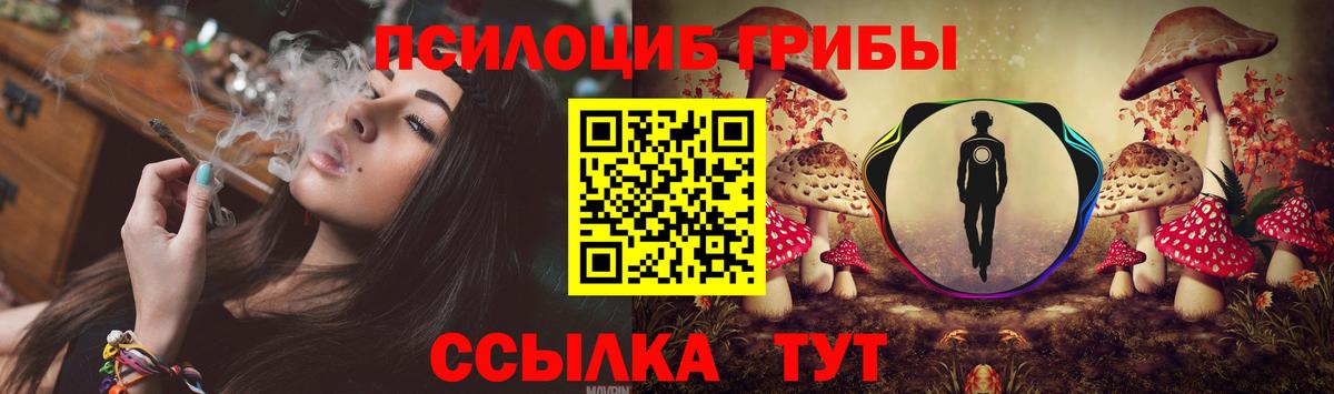 Галлюциногенные грибы мухоморы Будённовск